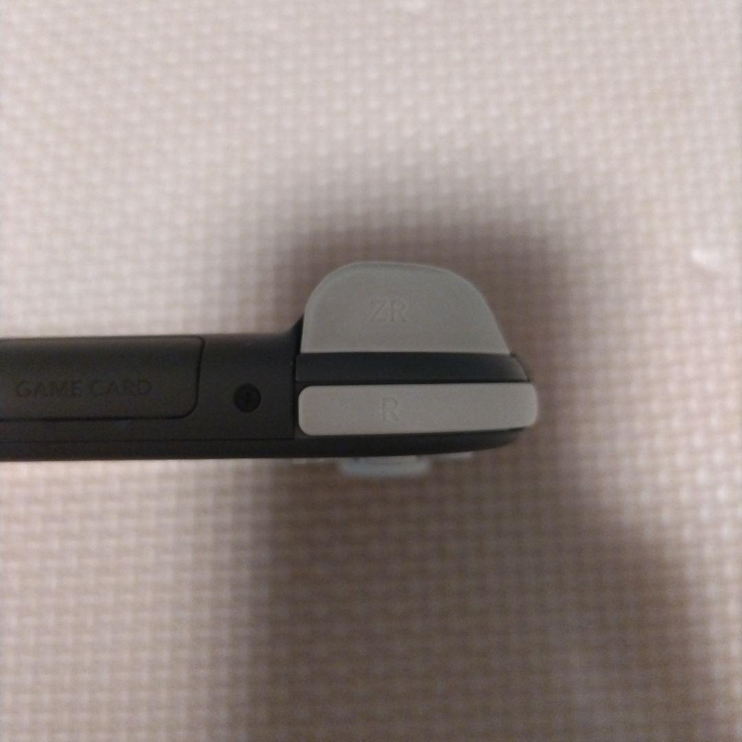 Nintendo Switch Lite グレー　画面要確認