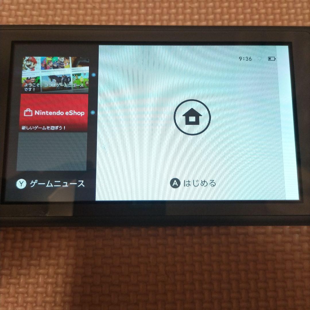 Nintendo Switch Lite グレー　画面要確認