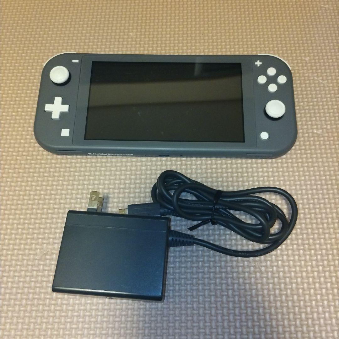 Nintendo Switch Lite グレー　画面要確認