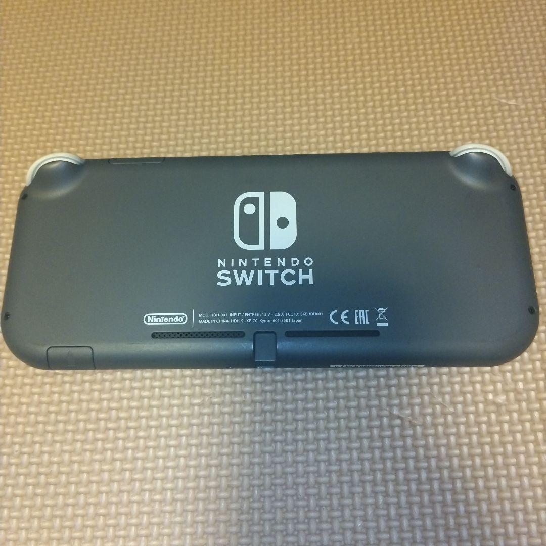 Nintendo Switch Lite グレー　画面要確認
