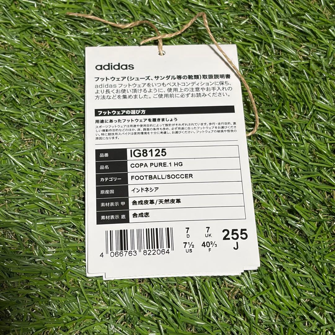 シューズ Adidas Copa Pure .1 HG/AG 25.5