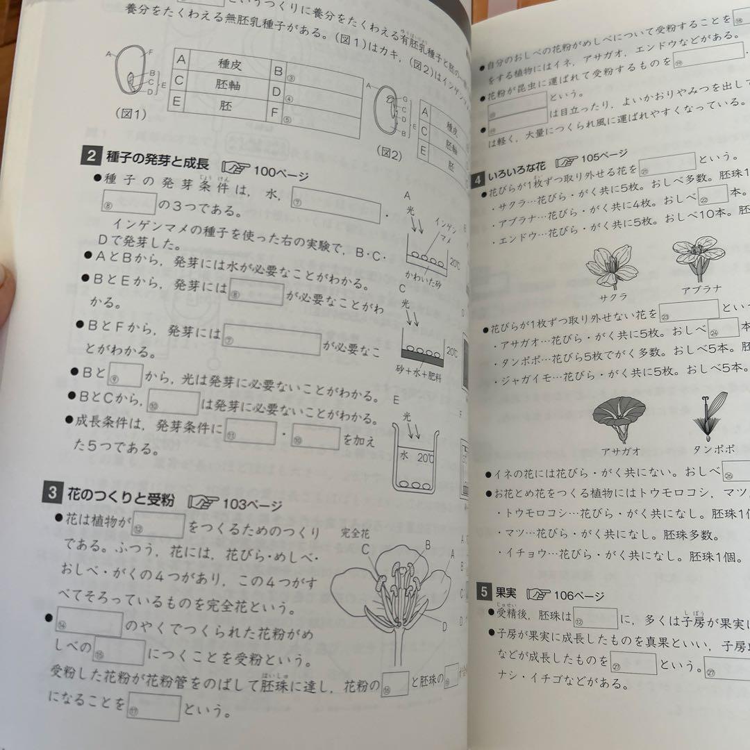 2024年 俊英四谷大塚 予習シリーズ 小5 演習問題集 上下セット