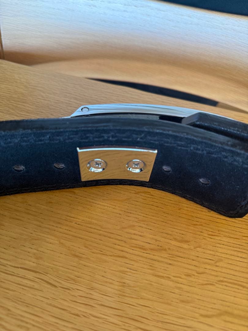 ジュラシック木澤　トレーニングベルト