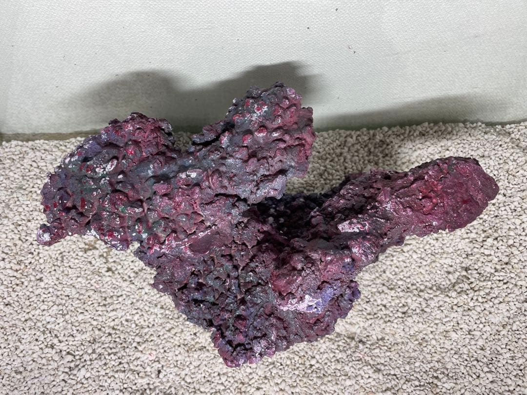 人工ライブロック RR75 アク抜き済み安心塗料使用