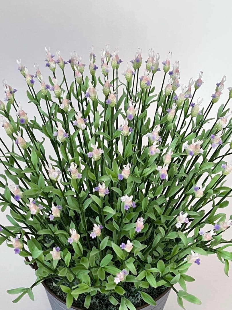 専用　フレンチラベンダー　クレイフラワー