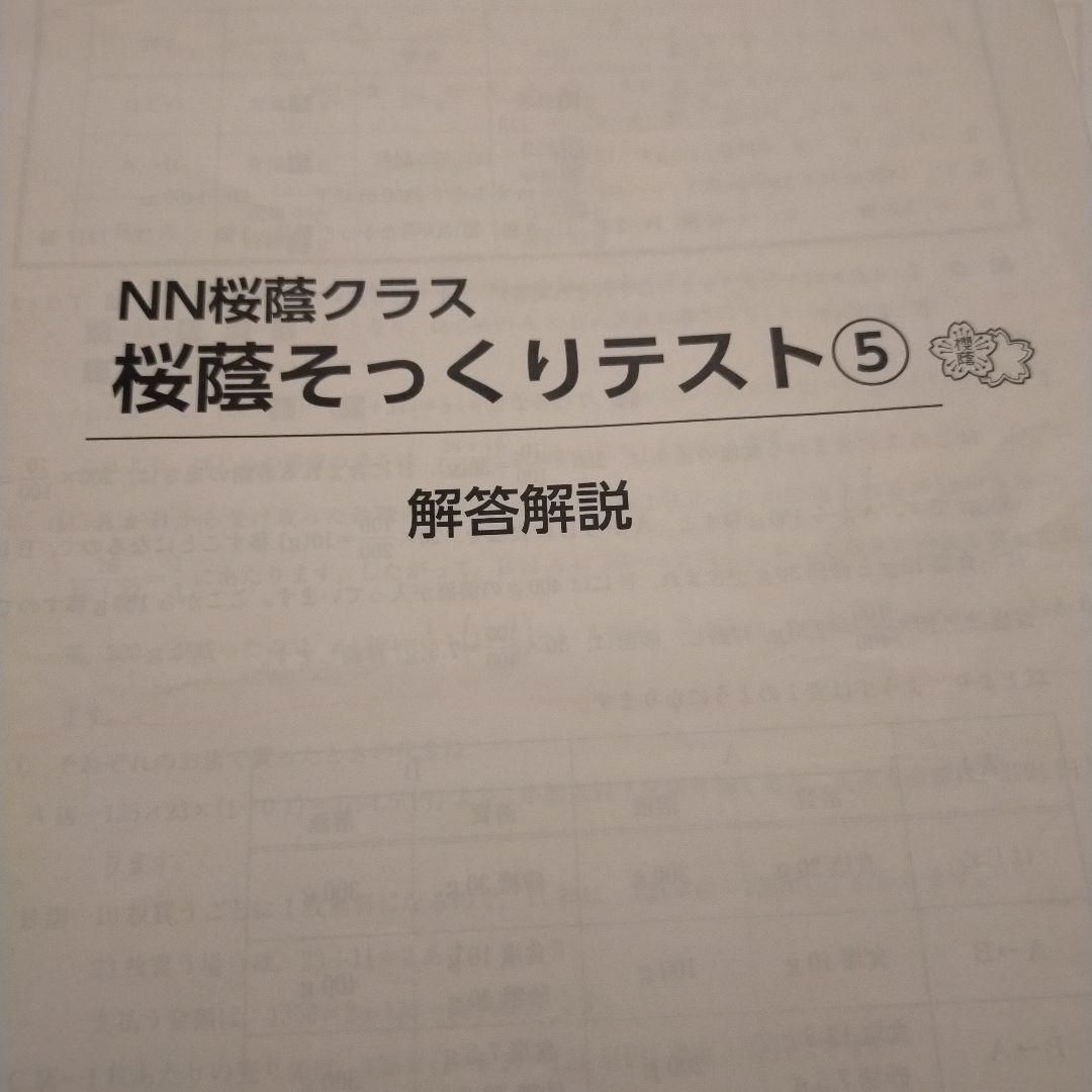 NN桜蔭クラス 桜蔭そっくりテスト算数 問題解答解説集Ⅰから15 2025年度用