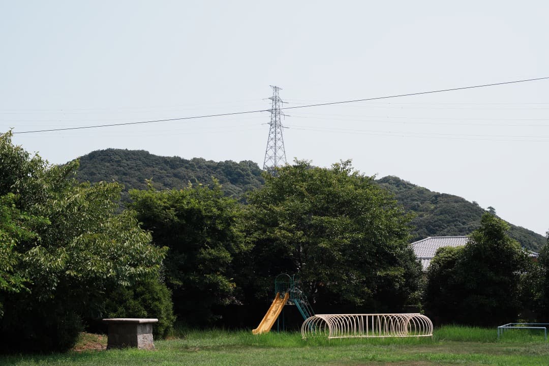 【整備＆テスト済】Nikon Ai-s Nikkor 50mm F1.4 430