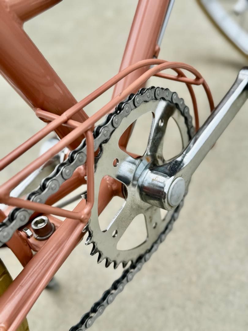 【⁎⁺˳✧༚様　受渡し専用】トーキョーバイクjr 20インチ　限定色