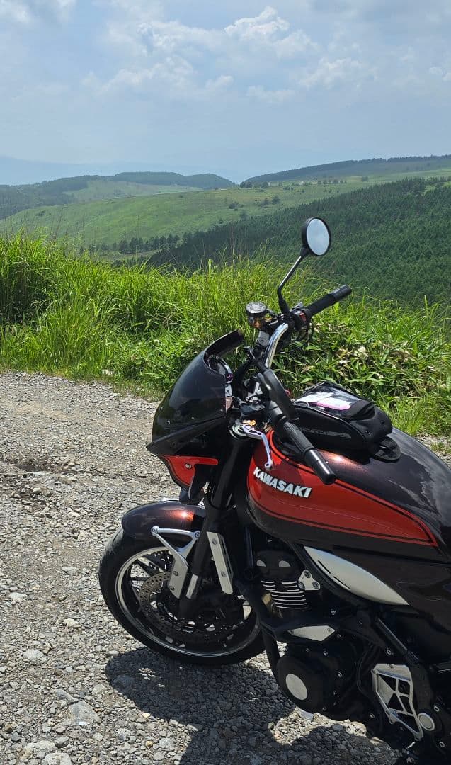 Z900RS ビキニカウル