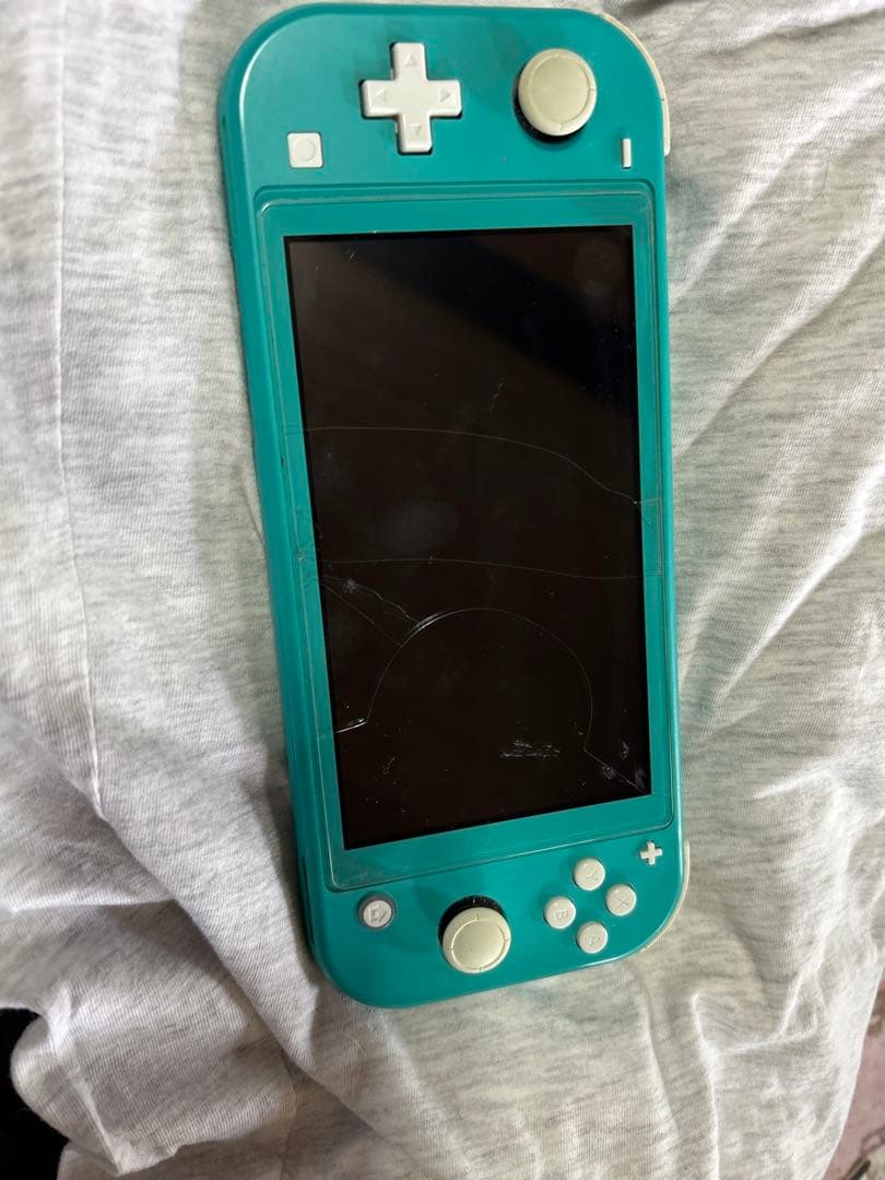 Nintendo Switch Lite本体ジャンク品