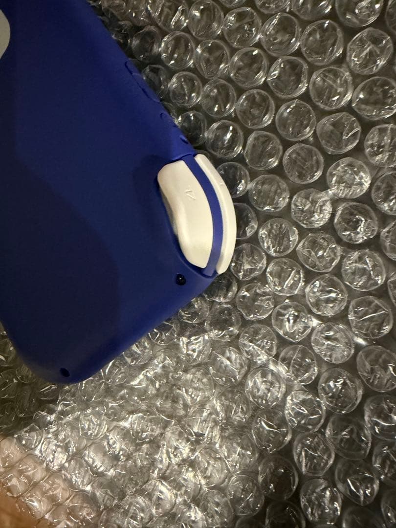 Nintendo Switch Lite ブルー 本体 動作確認済み