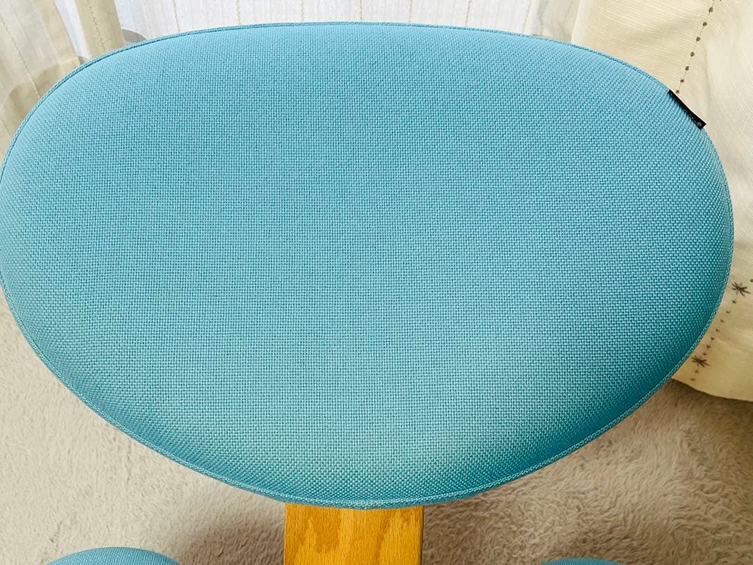 【⭐︎たのメル便発送】バランスチェア　イージー　サカモトハウス