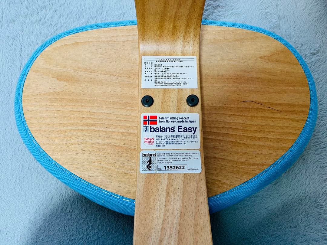 【⭐︎たのメル便発送】バランスチェア　イージー　サカモトハウス