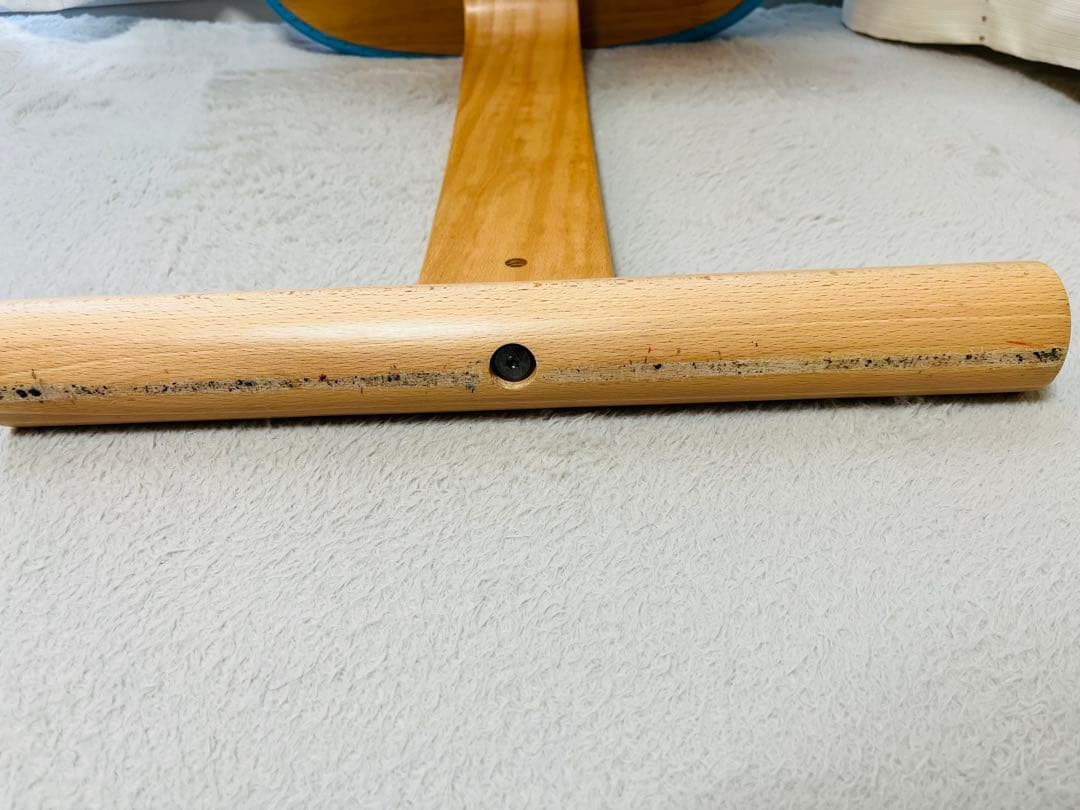 【⭐︎たのメル便発送】バランスチェア　イージー　サカモトハウス