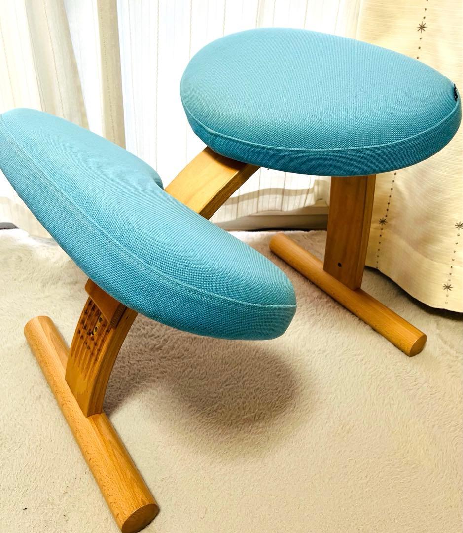 【⭐︎たのメル便発送】バランスチェア　イージー　サカモトハウス