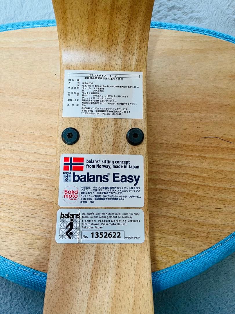 【⭐︎たのメル便発送】バランスチェア　イージー　サカモトハウス