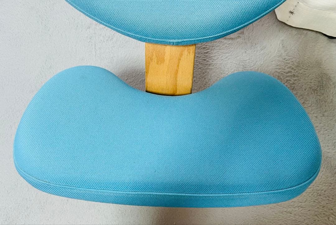 【⭐︎たのメル便発送】バランスチェア　イージー　サカモトハウス