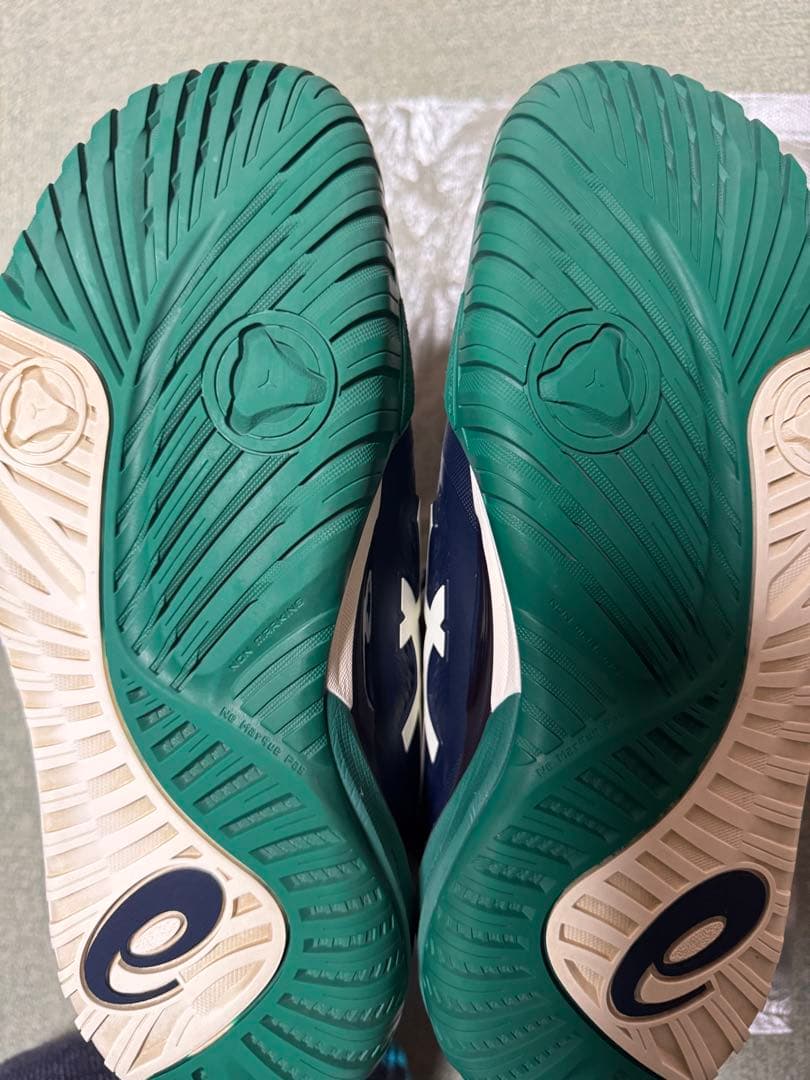 アシックス　ゲルレゾリューションX (25.0cm)