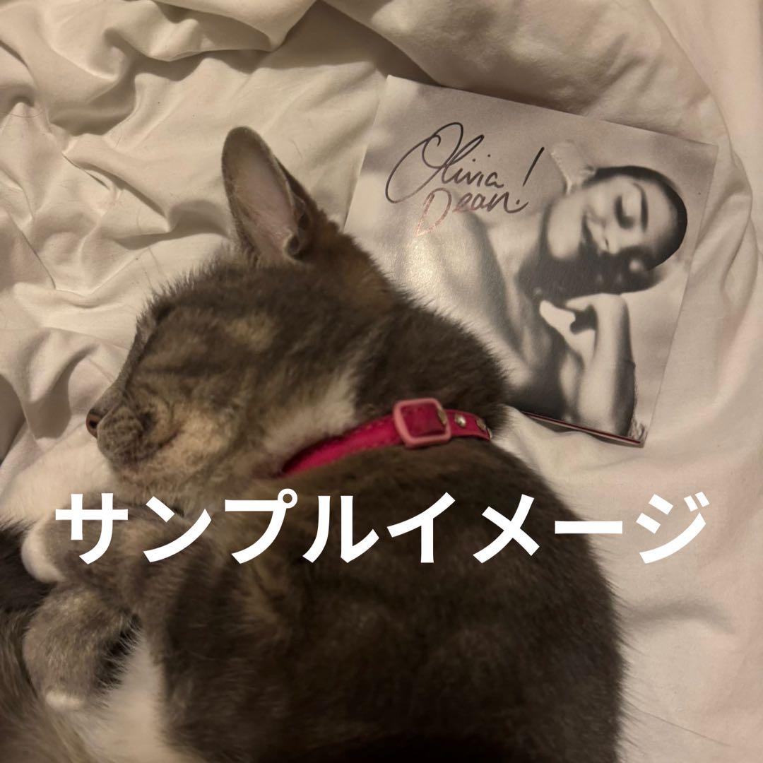 Olivia Dean　The Art of Loving　直筆サイン入りCD