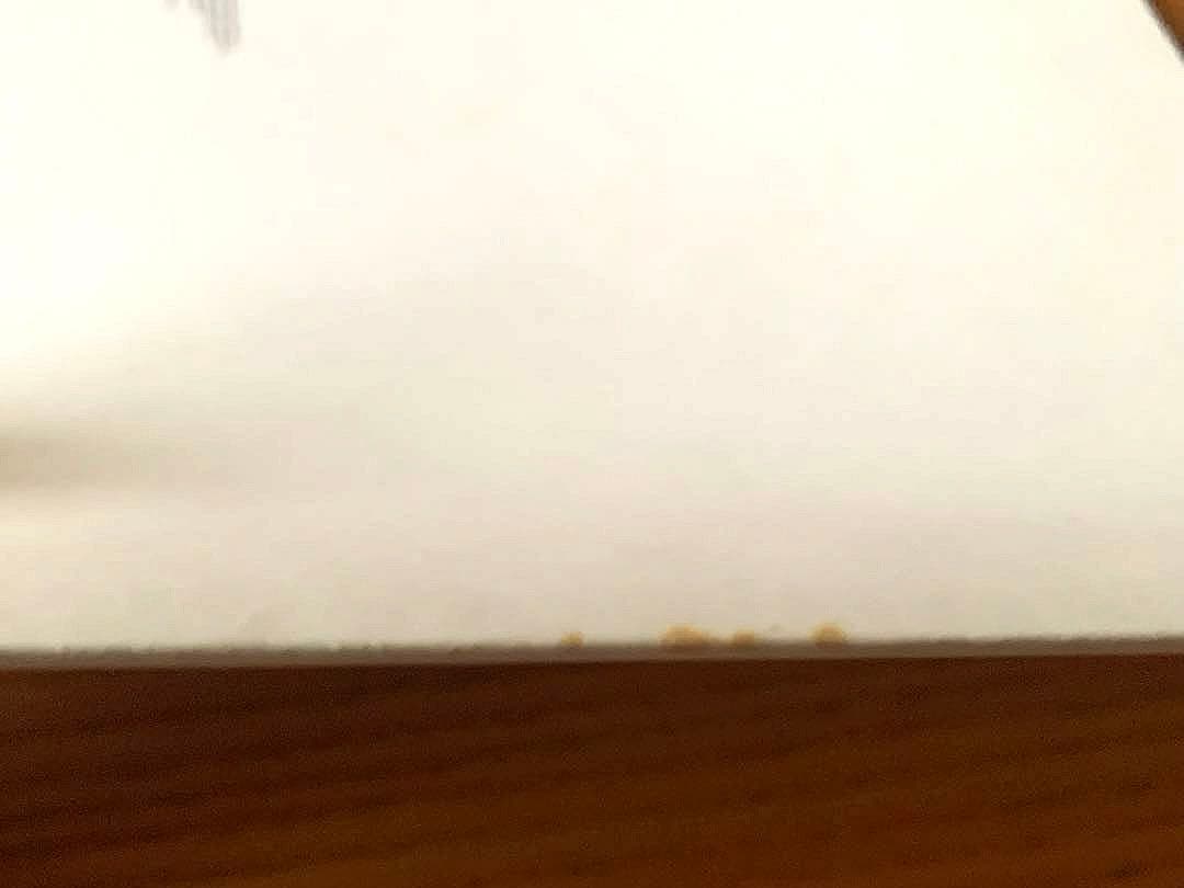 タイポグラフィックリフレクション2＋付属リーフレット　ヘルムート・シュミット