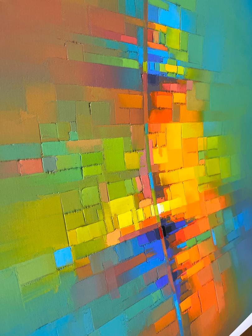 【最終値下げ】Jason Anderson HRIZON 限定プリント