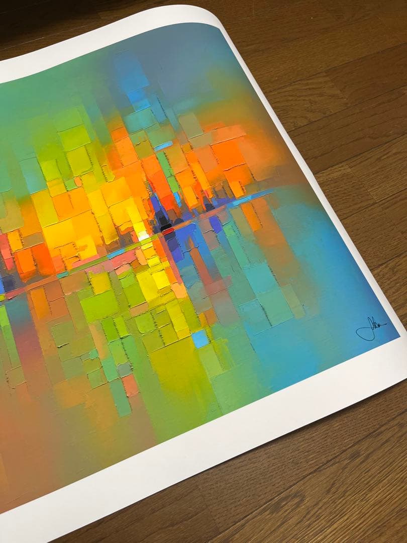 【最終値下げ】Jason Anderson HRIZON 限定プリント