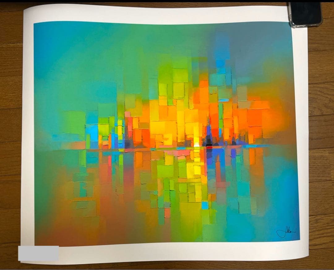 【最終値下げ】Jason Anderson HRIZON 限定プリント