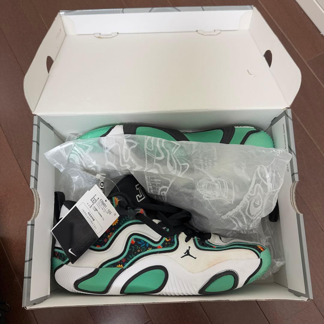 箱付き、美品！！ Jordan テイタム3PF 10.5(28.5cm)