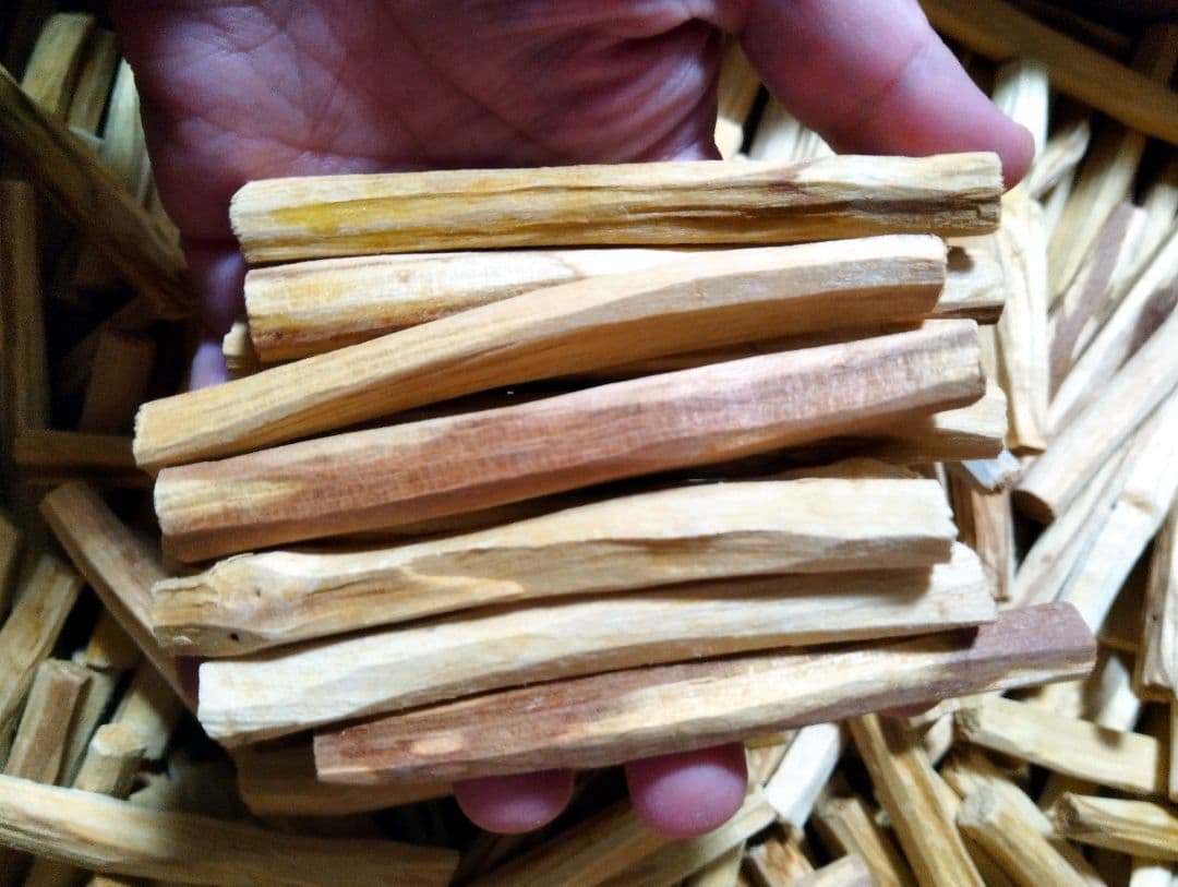 業務用価額☆天然お香木エクアドル産パロサントスティック1kg