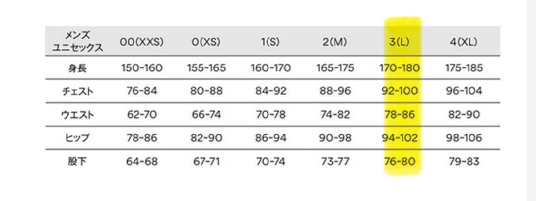 新品タグ付き/スキーウェア上下/ゴールドウィンGOLDWIN 107,800円