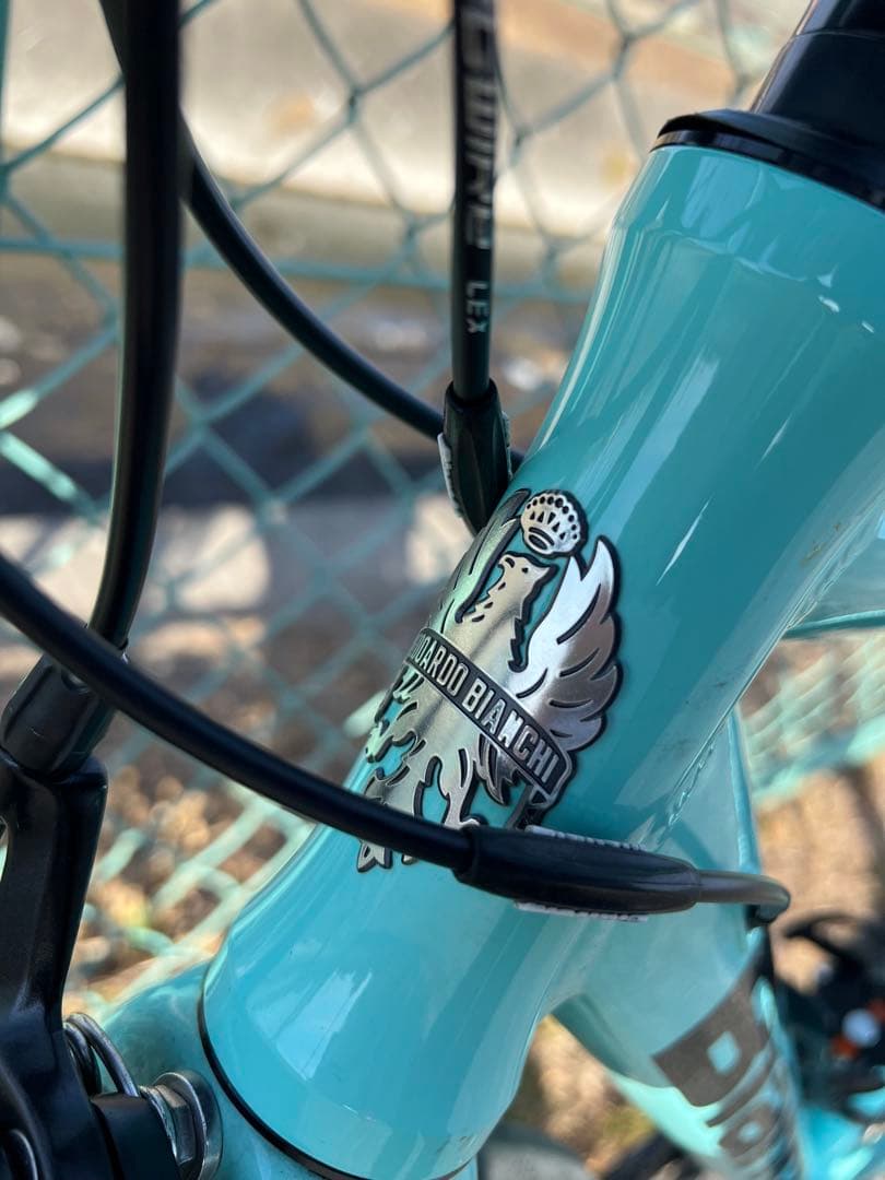 ビアンキ　ベルガモ　50サイズ　おまけ付き