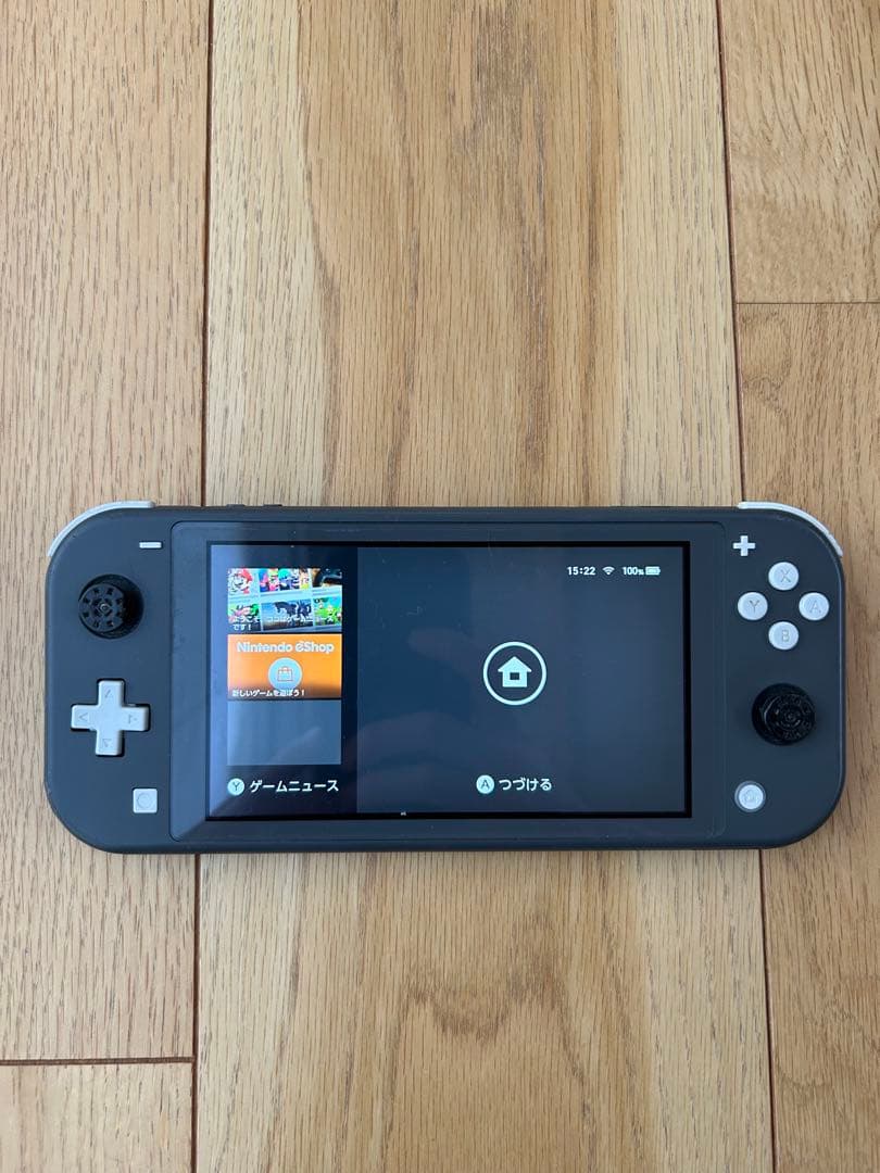 た*ん様 Nintendo Switch Lite グレー 本体（ジャンク品）