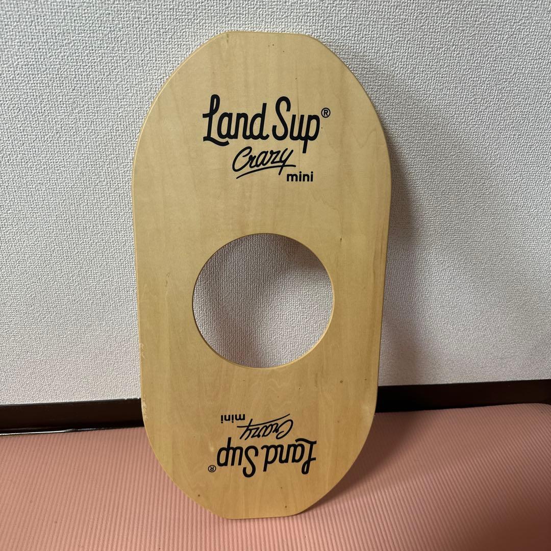 Land sup Crazy mini バランスボード　ランドサップ