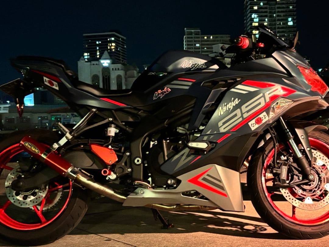 zx25r純正カウル（外装変えた為売ります‼️）