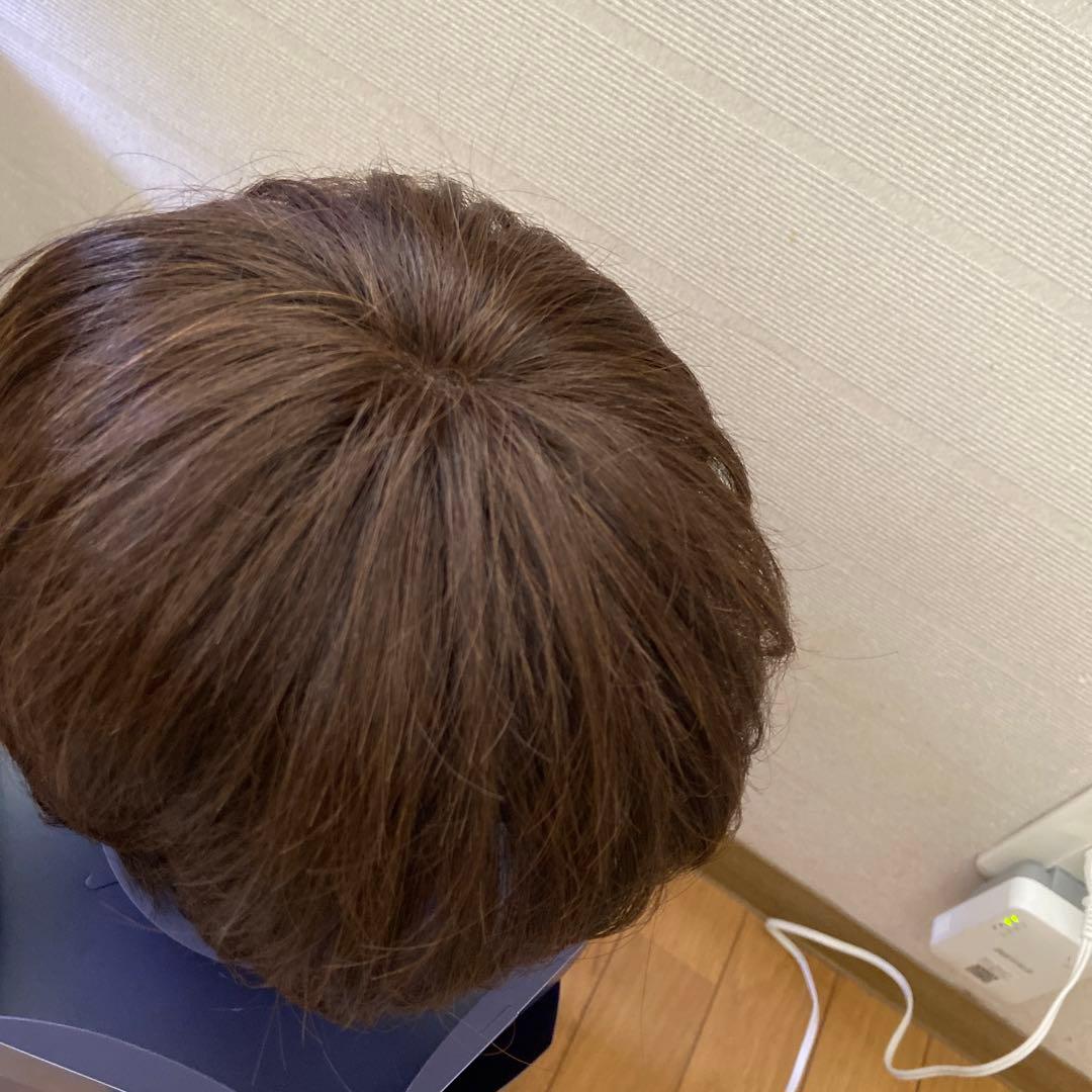 FONTAINE フォンテーヌ　レディスアデランス　ウィッグ　未使用品に近い