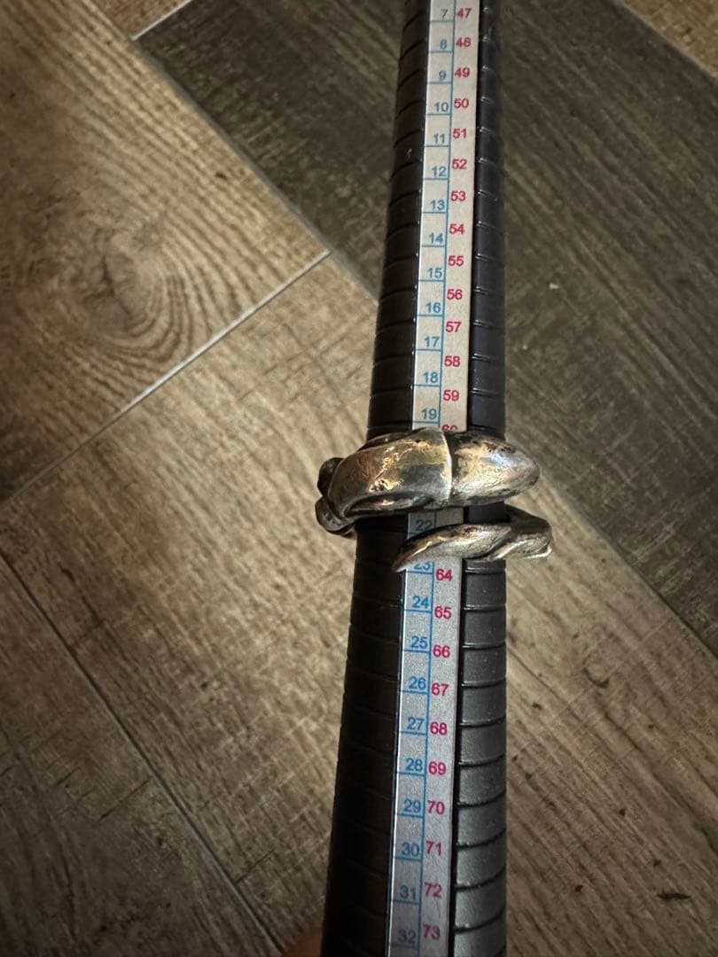 ロンワンズ スネークバードリング 22号