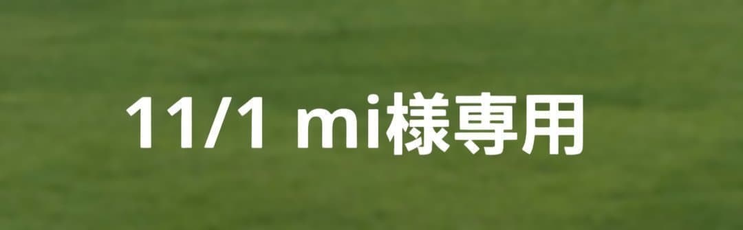 【mi】即日発送　人毛　ダークブラウン ショート　Sサイズ