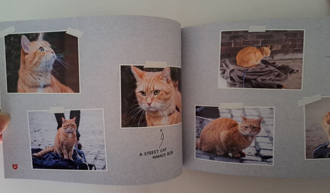 映画　ボブという名の猫　公式写真集　WE LOVE ボブ！　絶版　入手困難