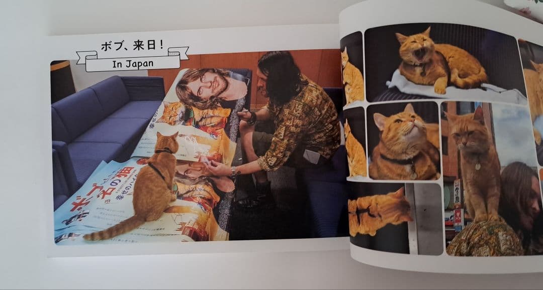 映画　ボブという名の猫　公式写真集　WE LOVE ボブ！　絶版　入手困難