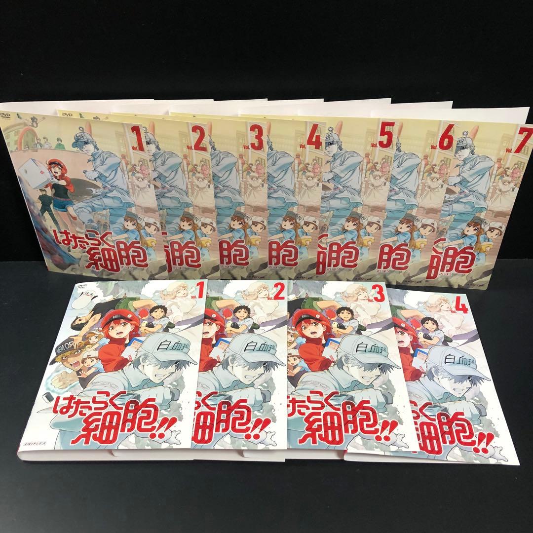 はたらく細胞 1期+2期 レンタルDVD アニメ 全巻セット