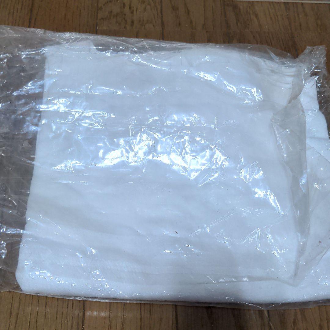 FIGHTING ILLUSION〜K-1 GRAND PRIX〜　非売品