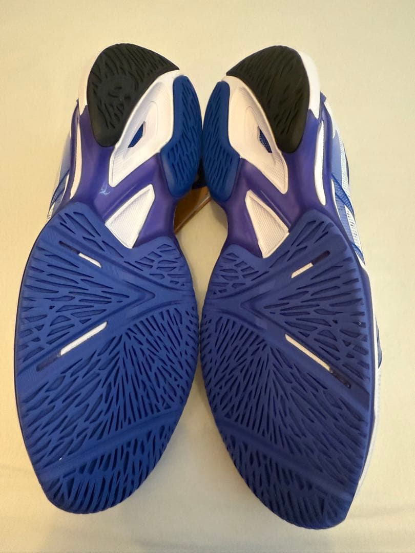 テニスシューズ アシックス SOLUTION SPEED FF 27.5cm