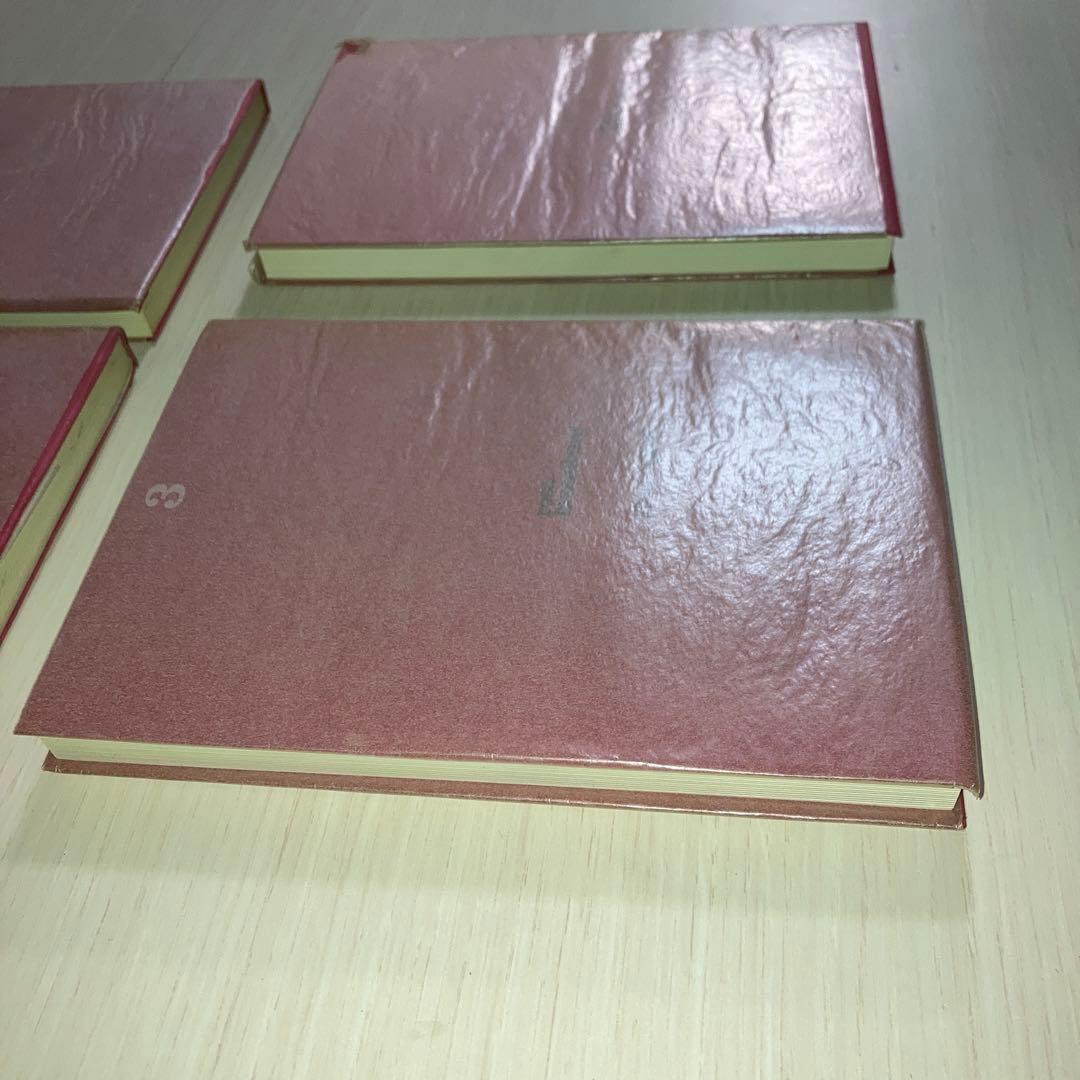 ローザ・ルクセンブルク選集　rosa luxemburg 選集　1 2 3 4