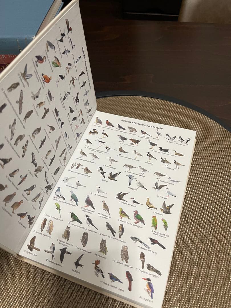 洋書 Birds of South Asia: The Ripley Guide