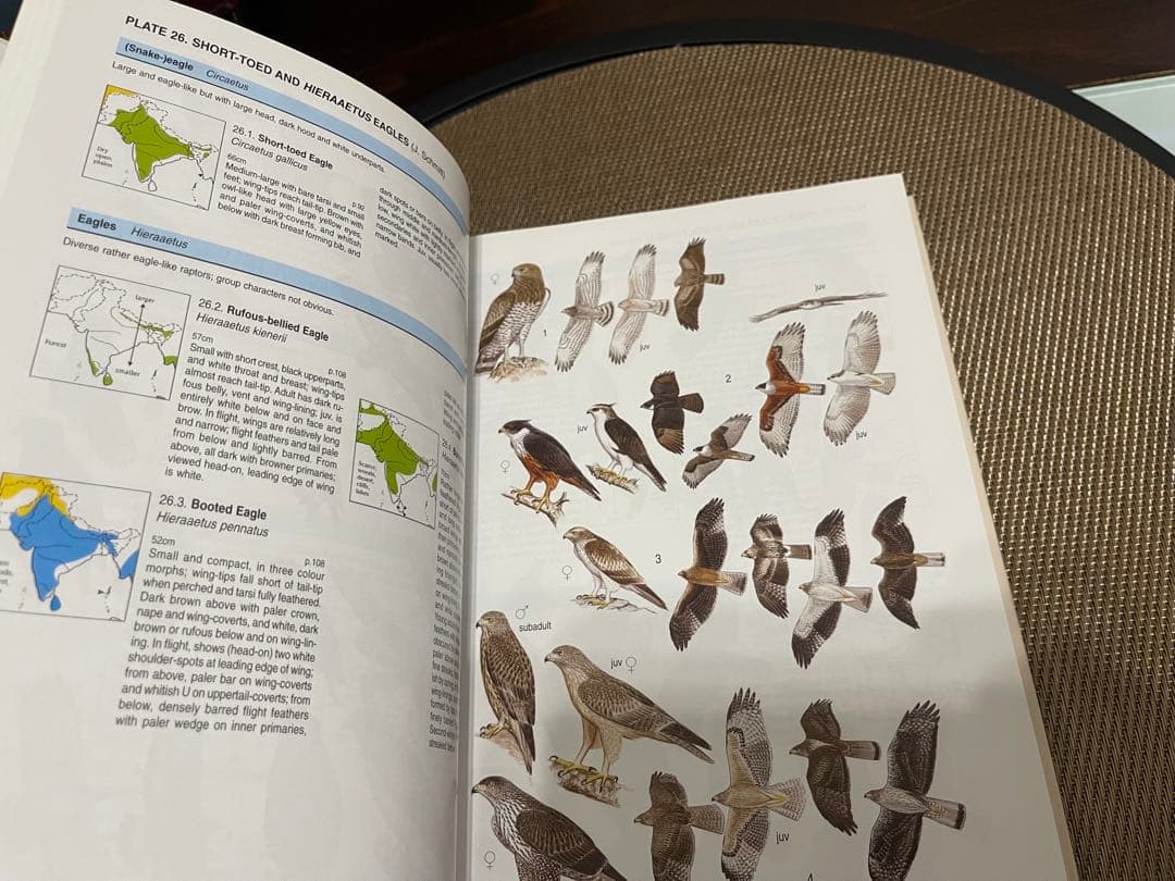 洋書 Birds of South Asia: The Ripley Guide