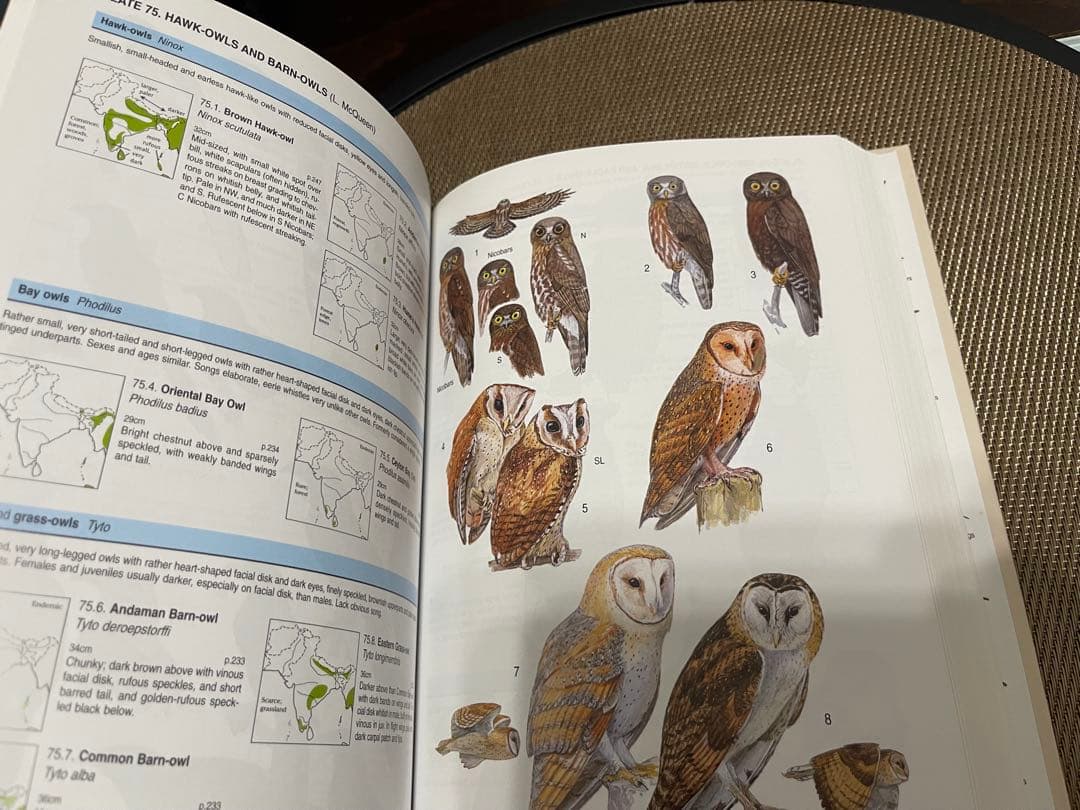 洋書 Birds of South Asia: The Ripley Guide