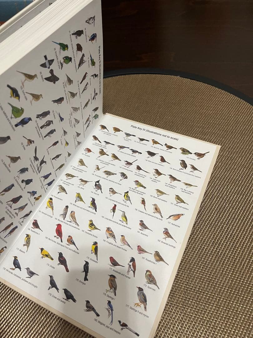 洋書 Birds of South Asia: The Ripley Guide