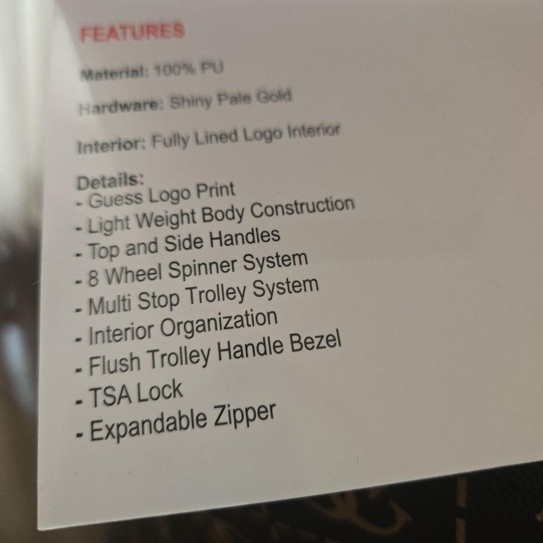 J*a様 [7/11まで値下げ]GUESS BERTA 18in,26L機内持ち