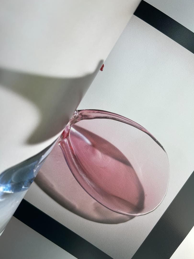 希少本 Carlo Scarpa カルロ スカルパ ガラス作品集 knoll