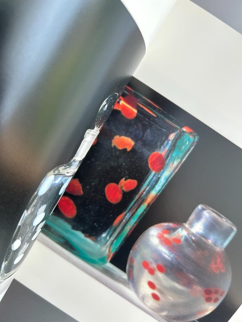 希少本 Carlo Scarpa カルロ スカルパ ガラス作品集 knoll